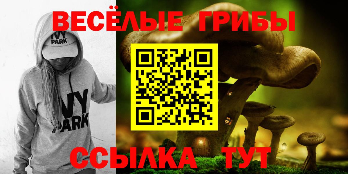 Галлюциногенные грибы мухоморы Ачхой-Мартан