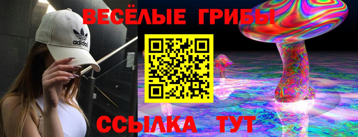 Галлюциногенные грибы MAGIC MUSHROOMS  Галлюциногенные грибы Magic Shrooms  Ачхой-Мартан  Вход с VPN 